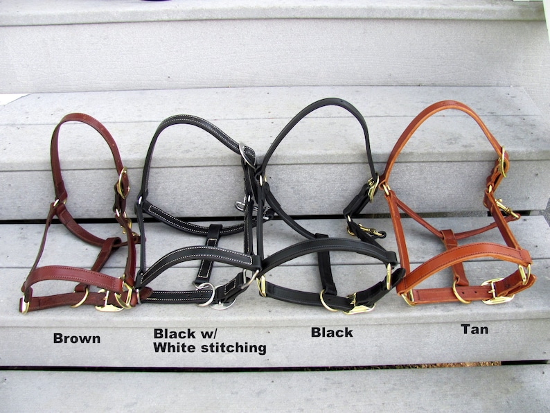 Miniature Horse Adjustable Leather Halters 58-inch