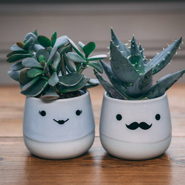 Cute Ceramic Indoor Plant Pot Gift -  Novelty Moustache, Comedy Eyelashes, Funny Planter For Succulent / Cactus