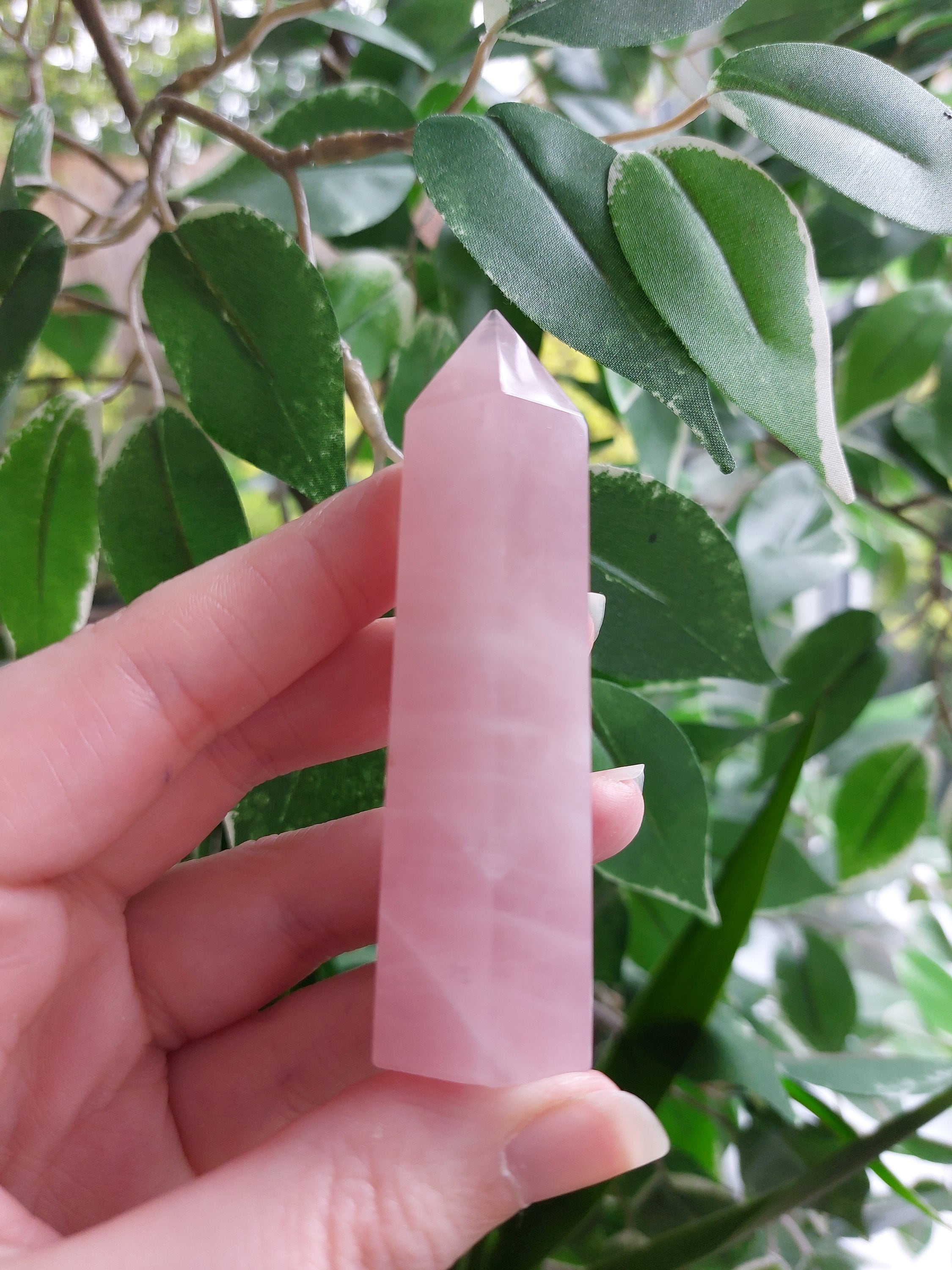 ローズクォーツタワー（12階） - Etsy 日本