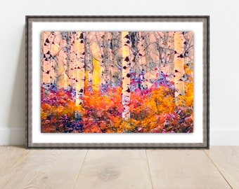 Silver Birches, Trees Framed Print, Choice of Size, Choice of Frame and FREE UK SHIPPING