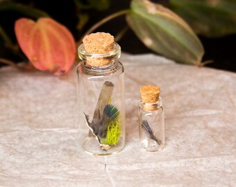 Smoky Quartz, Feather, and Bone Curiosity Vial Set / Curio Vial / Oddity / Apothecary / Cottagecore / Dark Academia