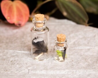 Feather and Bone Curiosity Vial Set / Curio Vial / Oddity / Apothecary / Cottagecore / Dark Academia