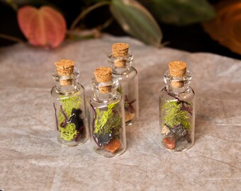 Small Moss and Agate Curiosity Vial / Curio Vial / Oddity / Apothecary / Cottagecore / Dark Academia