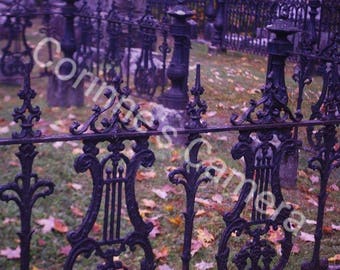 creepy fence etsy