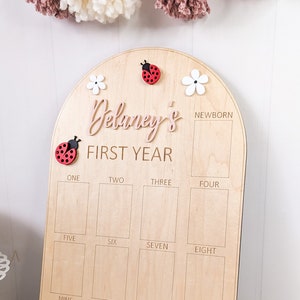 May include: Wooden milestone board with the text "Delaney's FIRST YEAR". The board has spaces for photos and is decorated with ladybugs and flowers. The board is light brown and has a rounded top.