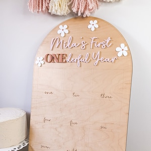 Personalized First Year Board: Little Miss Onederful Baby Keepsake