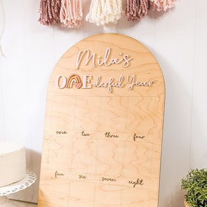 Little Miss Onederful Birthday 1 Year Photo Board, Personalized First Birthday Rainbow Party