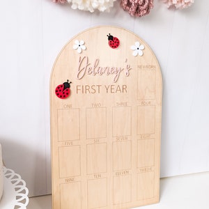 May include: A wooden milestone board with the text "Delaney's FIRST YEAR" in pink script. The board features spaces for monthly photos, adorned with ladybug and flower accents. A decorative tassel garland hangs above.