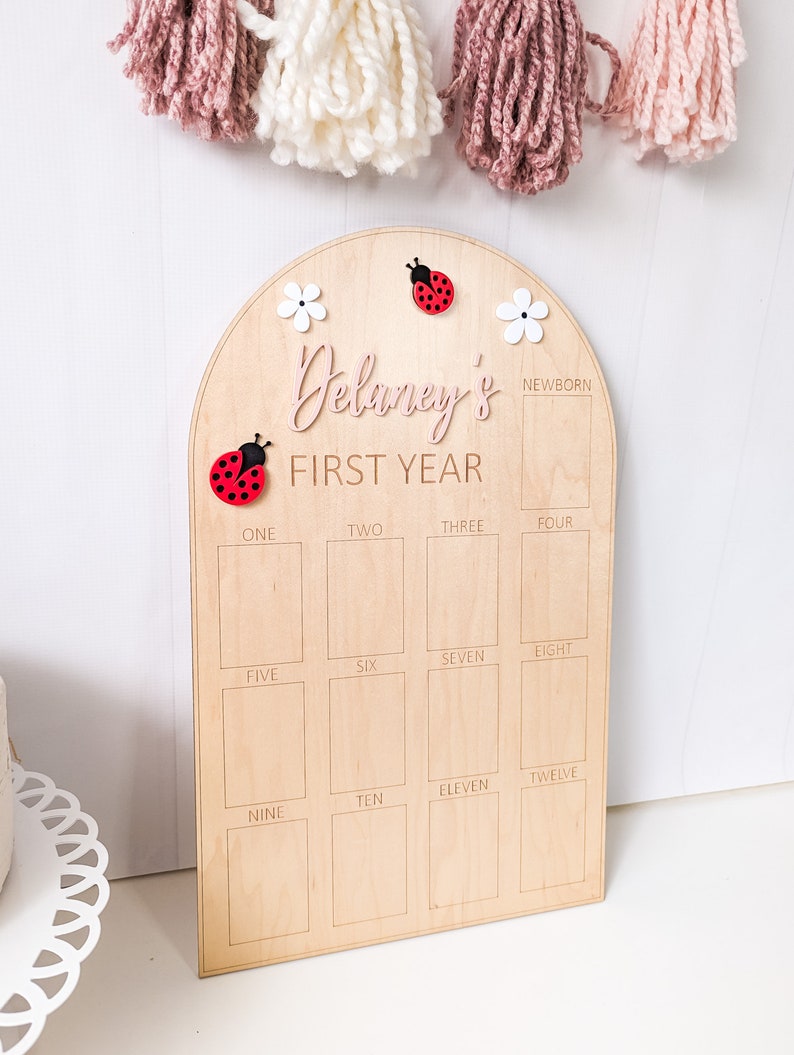 May include: A wooden milestone board with the text "Delaney's FIRST YEAR" in pink script. The board features spaces for monthly photos, adorned with ladybug and flower accents. A decorative tassel garland hangs above.