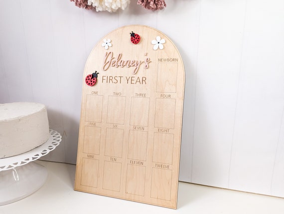 Ladybug 1st Birthday Baby Photo Board, 1 Year Wood Keepsake