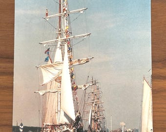 Unpostcard Parade of SAIL 95 Amsterdam Art Unlimited Nico Koster RPPC Postcard