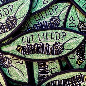 May include: A close-up of several green and black embroidered patches with a caterpillar and the text "Got Weed?" on a leaf background.