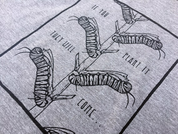 Monarch Butterfly T-Shirt Plant Milkweed Caterpillar Monarch Butterfly T-Shirt Plant Milkweed Caterpillar