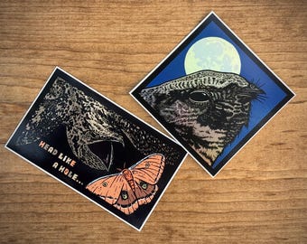 WHIP-POOR-WILL 2 Sticker Pack - Nightjar - Ornithology - Ornithologist - Conservation - Smiling Snake Shirt Company