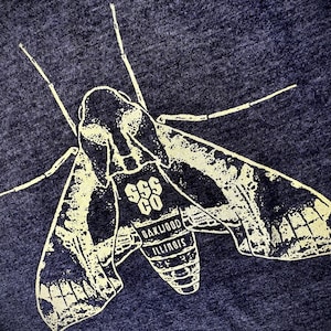 PANDORUS SPHINX - Moth Shirt - Smiling Snake Shirt Company - Entomology - Entomologist - MEN