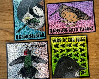 GLITTER BIRDS - 4 Sticker Pack - American Woodcock - Kestrel - Hummingbird - Eastern Pheobe - Ornithology - Smiling Snake Shirt Company