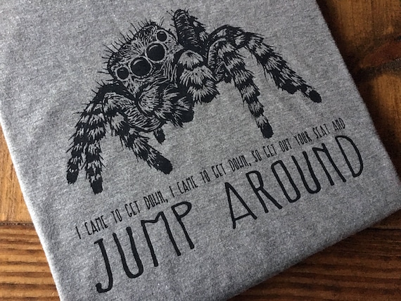 Jump Around Jumping House Spider Arachnid Gray Hoodie or T-Shirt Smiling Snake Shirt Company Oakwood Illinois Nature Pain