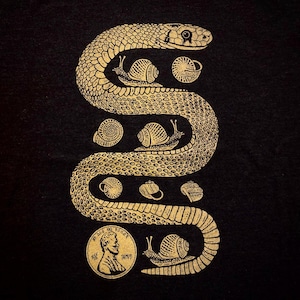 May include: Gold-colored illustration on a black background featuring a stylized snake in an S-shape. Snails and shell designs are interspersed along the snake's body. A coin with a profile is at the bottom.
