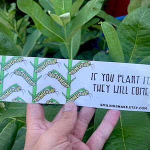 If you plant it they will come Bumper Sticker MONARCH BUTTERFLY CATERPILLAR entomology milkweed smiling snake shirt company