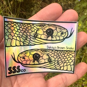 May include: A holographic sticker featuring two detailed illustrations of a Dekay's Brown Snake's head. The snakes are depicted with yellow and brown scales, black eyes, and a forked tongue. The sticker also includes the text "Dekay's Brown Snake" and "SSS.co".