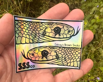 Dekay's Brownsnake #1 - Sticker - Holographic - Herpetology - Herpetologist - Herp - Smiling Snake Shirt Company - Conservation
