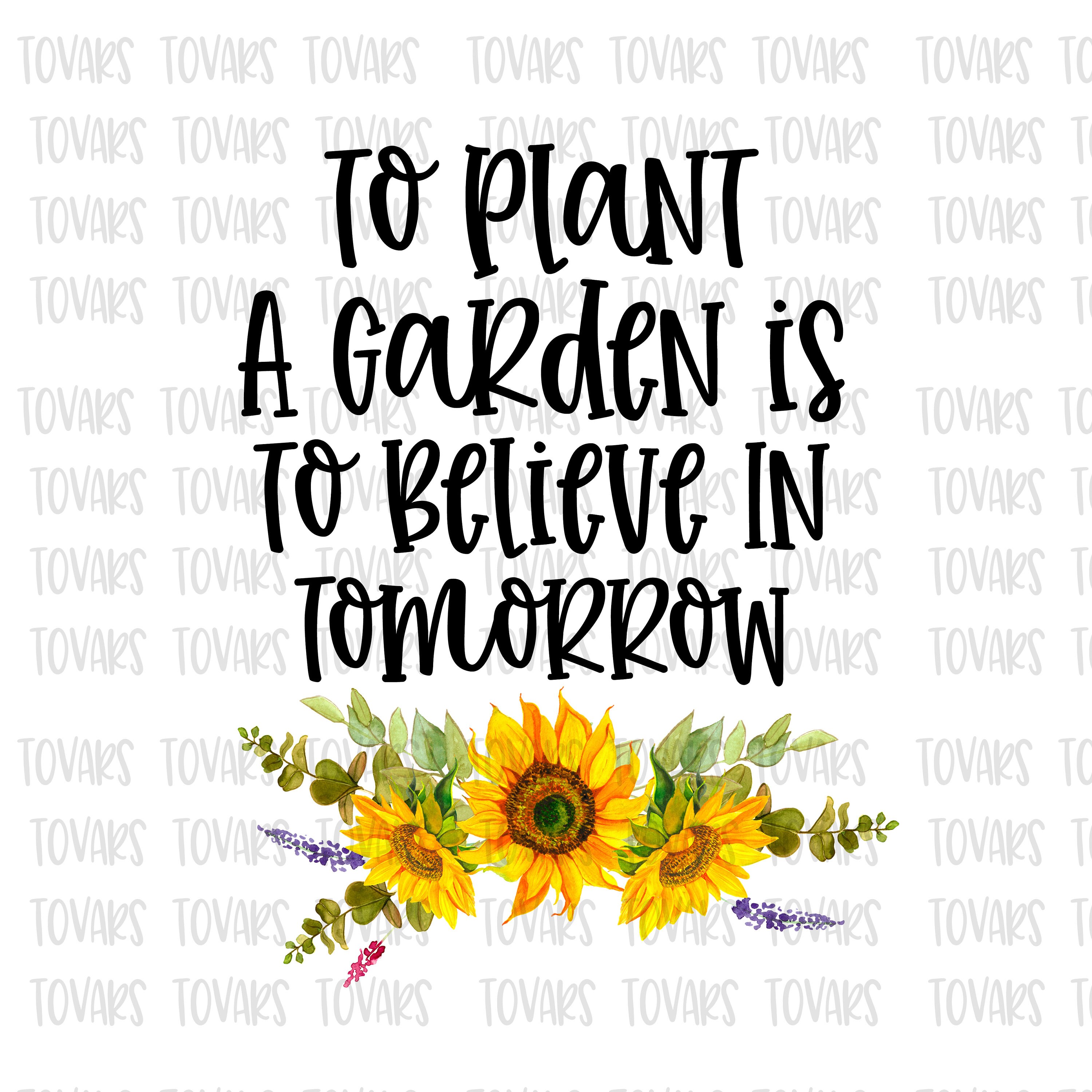 アニメ Sunflower's Garden Believe In Tomorrow Hunter x Hunter 1999 - OVA 3 Theme Full Lyrics Sub Esp