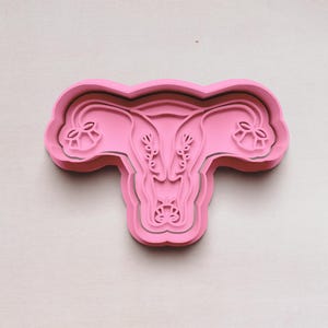 May include: A pink cookie cutter in the shape of a uterus. The cutter has detailed lines showing the internal structure. The design includes the fallopian tubes, ovaries, and the body of the uterus. The cutter is made of plastic.