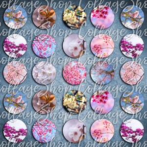 061-Digital Collage Sheet 1 inch Round image cherry blossom sakura 25 mm bottle cap images Circle Counterpart Instant Download Jewelry Making image 2