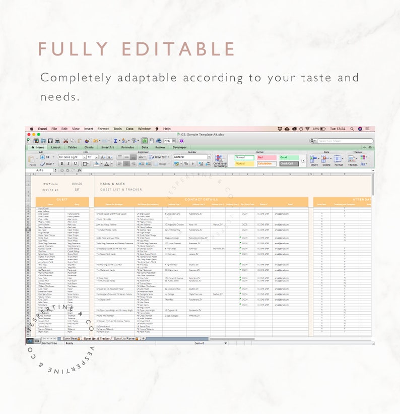 Wedding Guest List Planner and Guest List Tracker Excel Spreadsheet Google Sheets Wedding RSVP tracker, Guest Spreadsheet Editable image 8