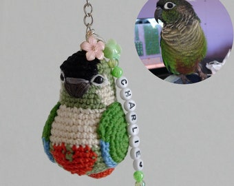 Custom Green Cheek Conure w/ Red Heart Keychain & Name Crochet Amigurumi, Crochet bird, Gift for parrot lovers