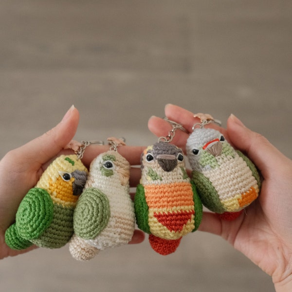 Customized Name Conure Keychain Crochet Amigurumi, Crochet bird, Gift for parrot lovers