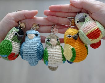 Personalized Crochet Conure Keychain: Handmade Bird Name Tag