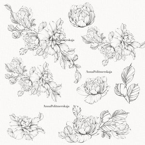 Procreate Flower Stamp Peony Brush Set - Etsy