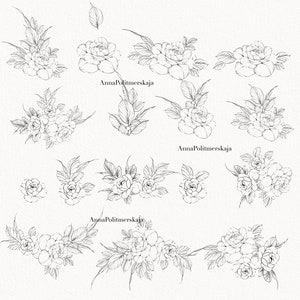 Procreate Flower Stamp, Peony Brush Set - Etsy