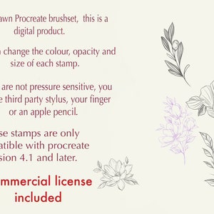 Procreate Flower Stamp, Peony Brush Set - Etsy