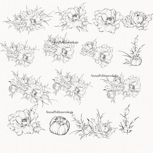 Procreate Flower Stamp, Peony Brush Set - Etsy