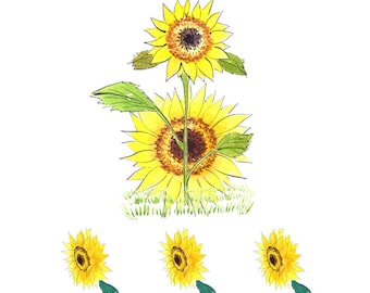 Plancha Transfer Print Designs máquina de prensa térmica lista para prensar girasol #20318d