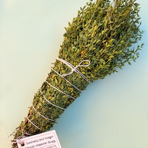 Creosote Bush (chaparral) Large Shower Hanging Bundle : Energy Cleansing Bundle