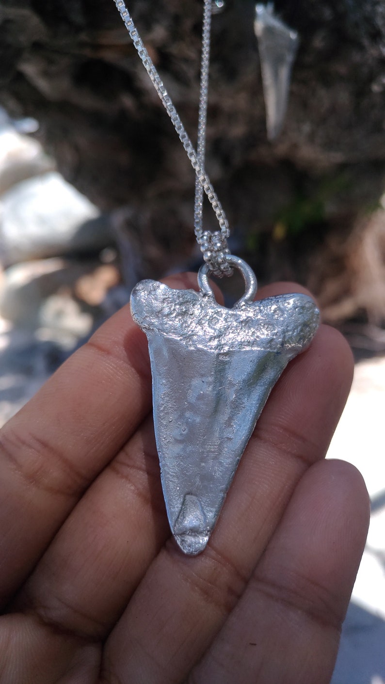 Garnet sterling silver shark tooth pendant and 24 box chainocean jewellery