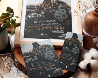 Shed your skin - Shelby Mahurin