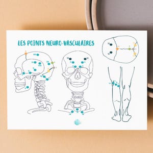 Peut inclure: Une carte blanche avec le texte "LES POINTS NEURO-VASCULAIRES" en turquoise. La carte présente trois schémas du corps humain, dont un crâne et des jambes, avec des points numérotés en turquoise, jaune et orange.