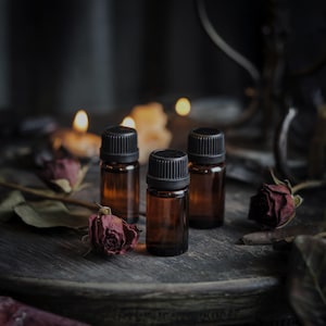 SAMPLER ritual perfume premium sampler set - mystery box / horror & macabre / gothic goth spooky halloween witch witchy / cologne