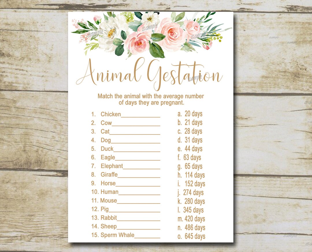 Gold Baby Shower Game, Animal Gestation Game, Animal Pregnancy Game