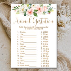 Gold Baby Shower Game, Animal Gestation Game, Animal Pregnancy Game quiz, Pink & gold floral baby shower, Printable Instant Download P117