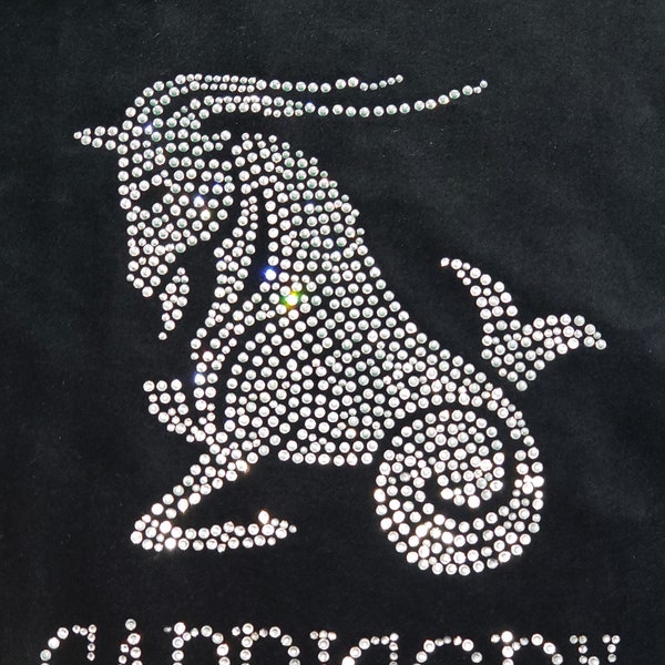 Rhinestone Zodiac Aquarius Transfer Etsy