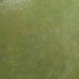 May include: A close-up of a textured green surface with a subtle sheen. The surface has a slightly uneven texture, with small bumps and dips. The color is a muted green, with hints of brown and gray.