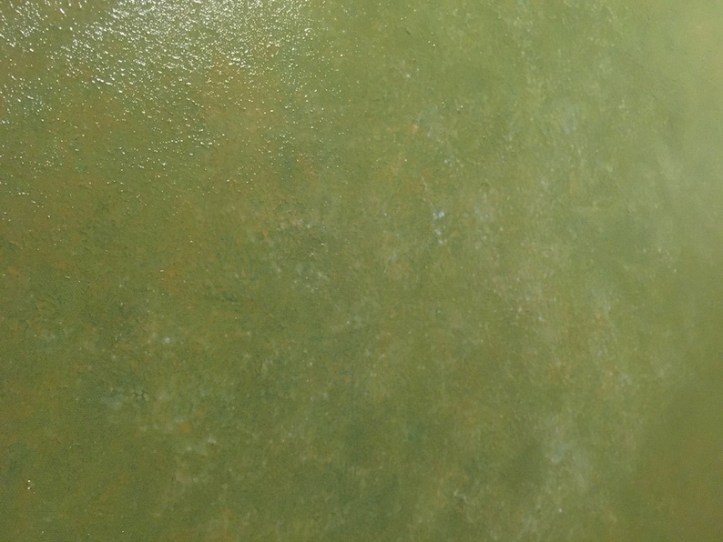 May include: A close-up of a textured green surface with a subtle sheen. The surface has a slightly uneven texture, with small bumps and dips. The color is a muted green, with hints of brown and gray.