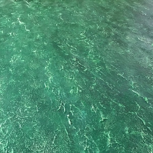 May include: A close-up of a textured green surface with a slightly mottled appearance. The surface has a rough, uneven texture.
