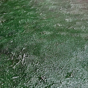 May include: Close-up of a green textured surface with white flecks. The surface has a rough, uneven texture.