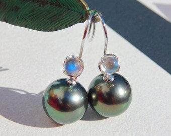 Blue Moonstone Tahitian Pearl Earrings | 13.2mm | Solid 14kt White Gold | AAA | Green Black | Peacock | Saltwater Pearl | Gemstone and Pearl